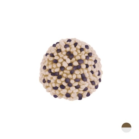 GUMMY AL CIOCCOLATO